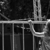umbria jazz 2009 la bambina-1
